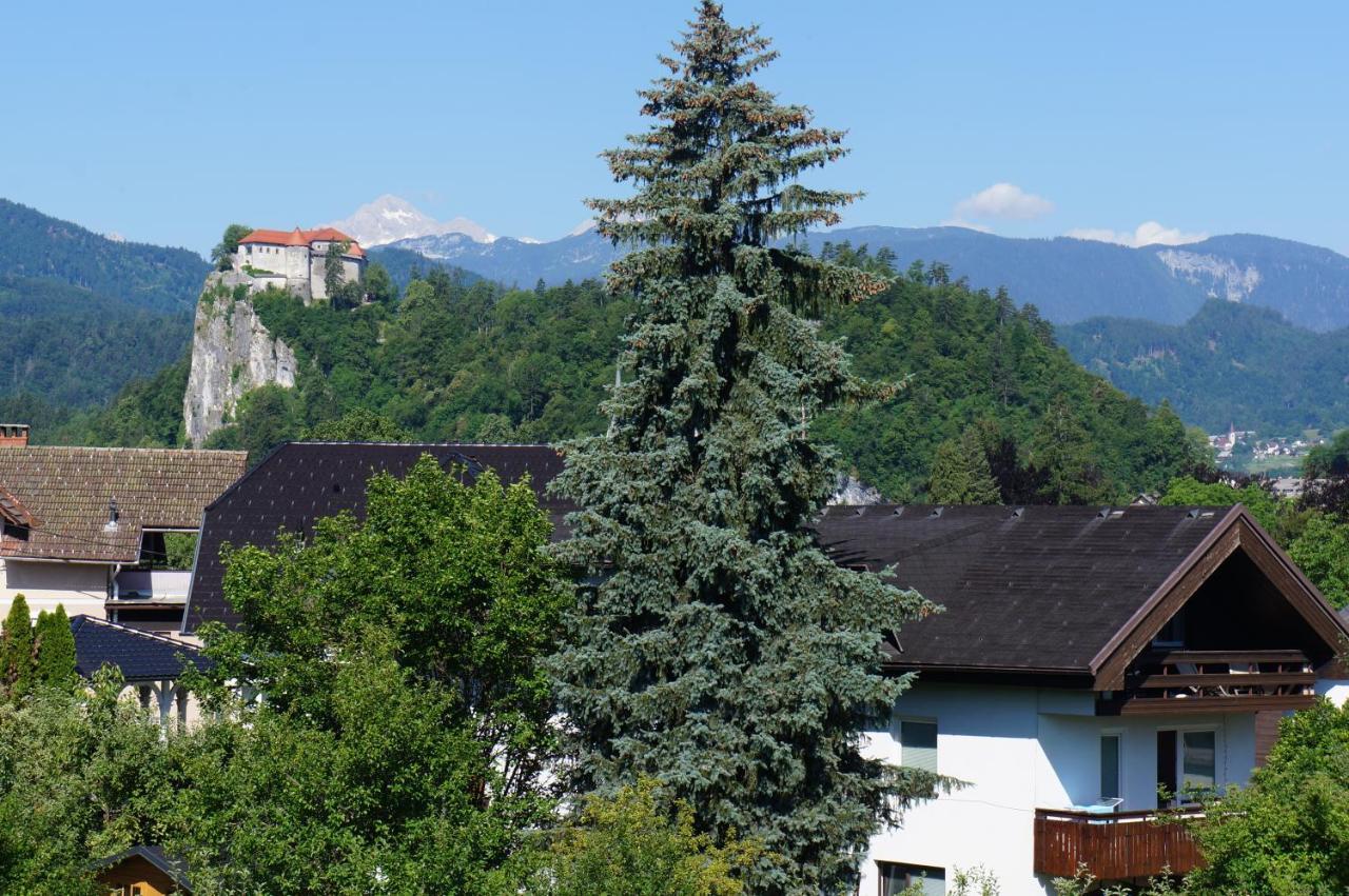 Apartma Tanya Bled Exteriér fotografie