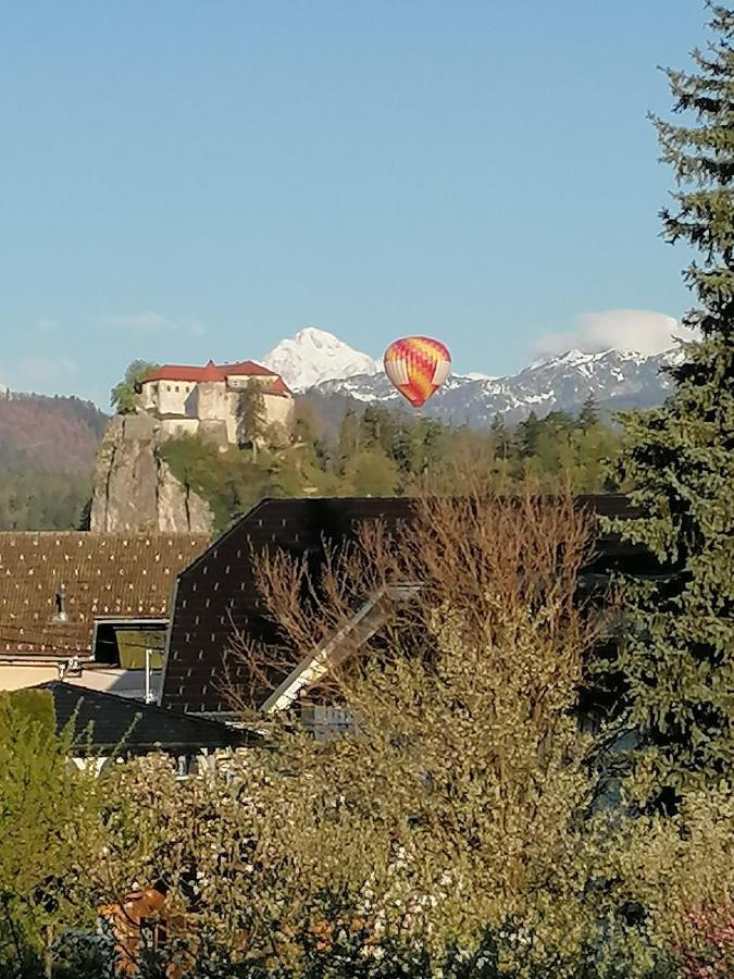Apartma Tanya Bled Exteriér fotografie